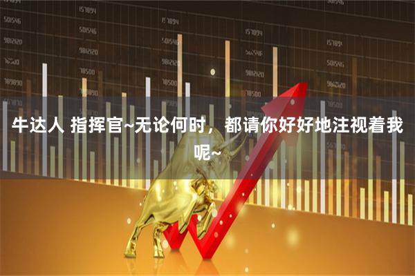 牛达人 指挥官~无论何时，都请你好好地注视着我呢~